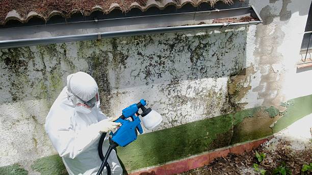 Top rated local Attic Mold Remediation specialists in Aaronsburg, PA